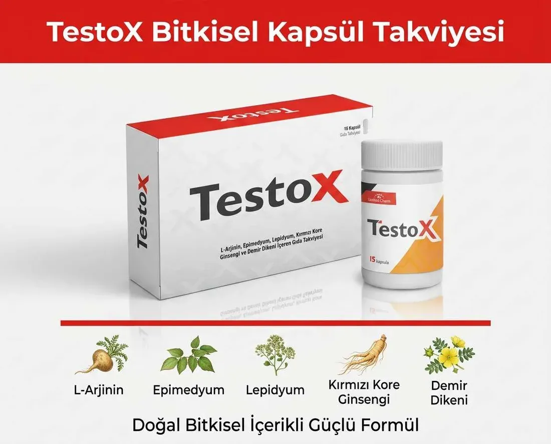 TestoX kutusu ve bileşenleri — L-arjinin, epimedyum, maca, ginseng, demir dikeni